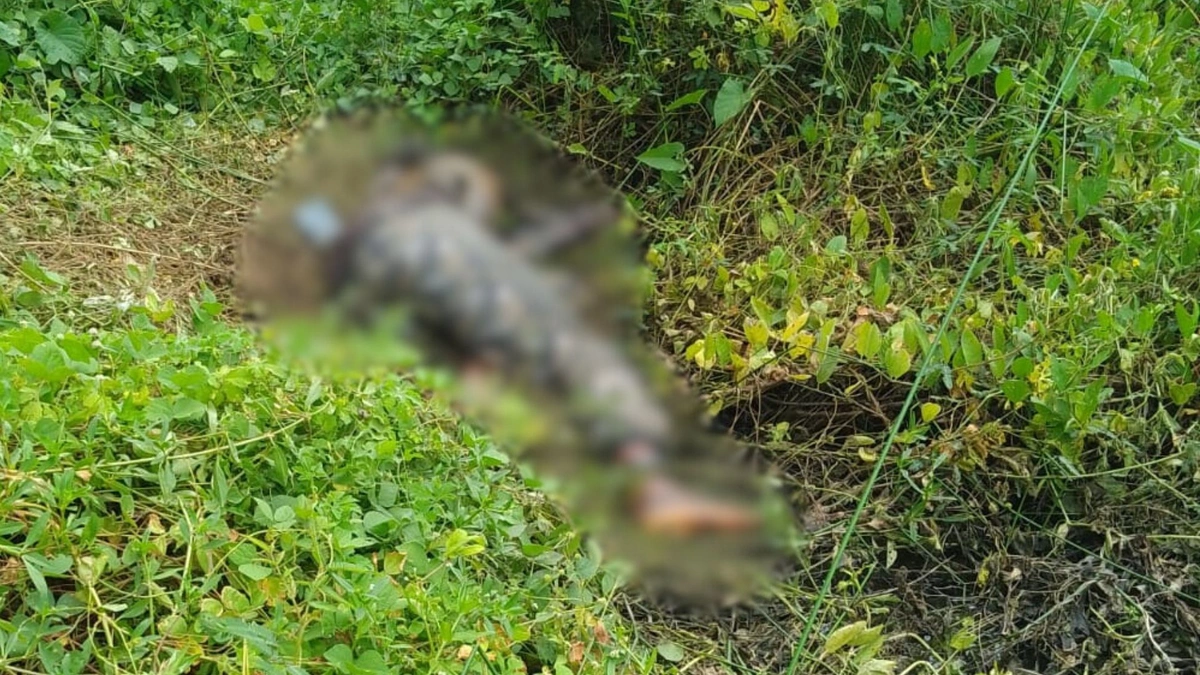 Corpo de homem em avançado estado de decomposição é encontrado em Parnaíba