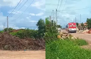 Enxame de abelhas ataca cinco pessoas em Parnaíba; três foram socorridas (Foto: Reprodução/ClickParnaíba)