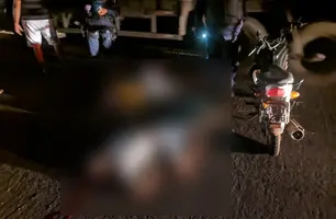 Garupa morre após condutor de motocicleta colidir contra animal em José de Freitas (Foto: Reprodução)
