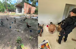 Grupo que usava rinha de galos para lavar dinheiro do tráfico é preso em Teresina (Foto: Reprodução)