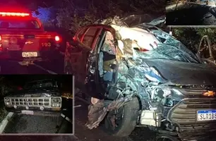 Idoso de 86 anos morre em grave acidente na BR-343, entre Piripiri e Brasileira (Foto: Reprodução)