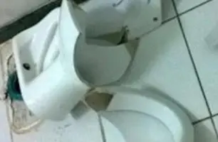 Menina de 7 anos morre após vaso sanitário se quebrar e causar corte (Foto: Divulgação)