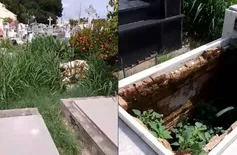 Descaso: moradores denunciam situação de abandono em cemitério de Teresina