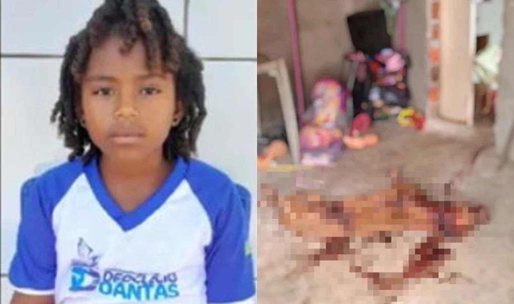 Morte de criança de oito anos atacada por pitbull gera comoção em Teresina