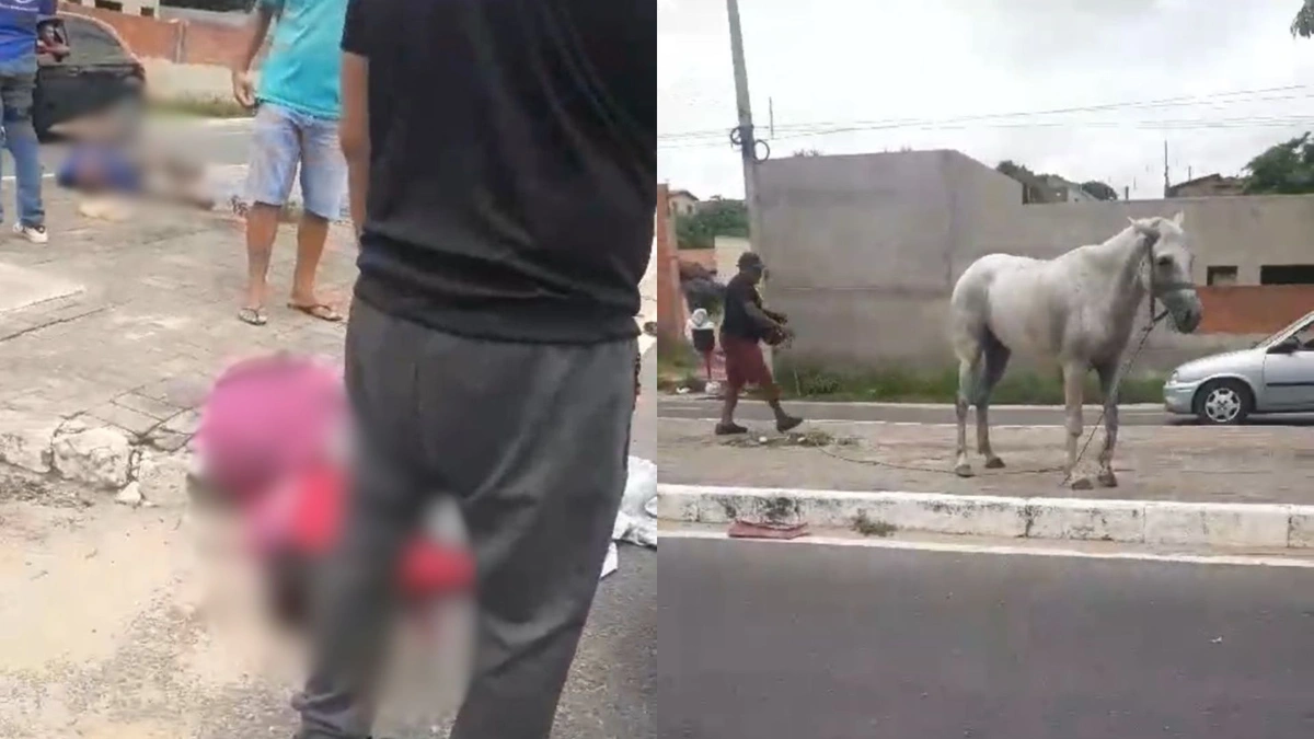 Mulher morre após bater motocicleta em cavalo em Timon