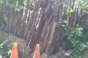 Proprietário de terreno em que homem morreu eletrocutado será indiciado (Foto: Divulgação)