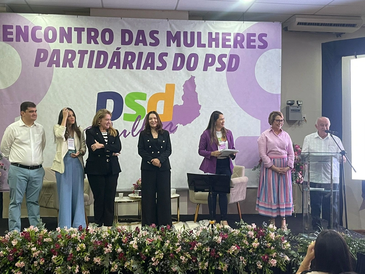 PSD Piauí