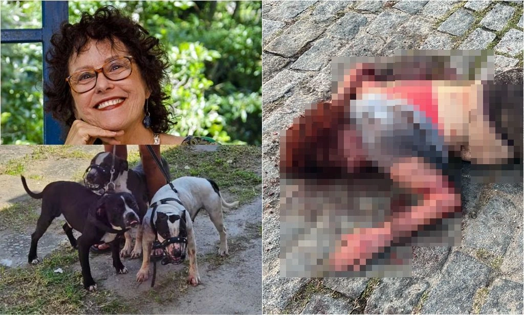 ‘A vida é aprendizado’: escritora atacada por pitbulls comenta caso pela 1ª vez