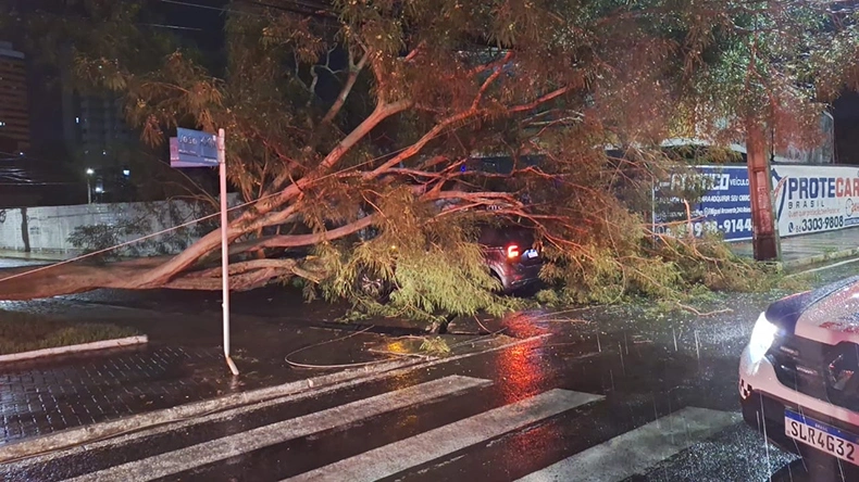 Árvore cai sobre fiação elétrica e carro deixando casal preso durante chuva em Teresina