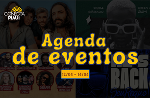 Conecta Piauí (Foto: Conecta Piauí)