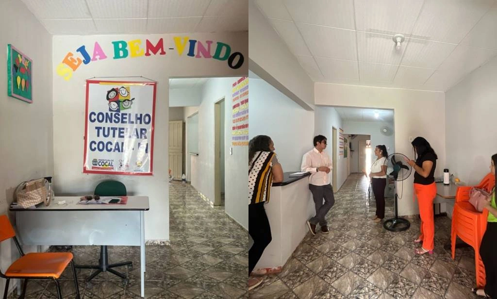 Conselho Tutelar de Cocal-PI