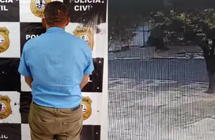 Delegada detalha prisão de suspeito de estuprar diarista em via pública de Timon (Foto: Reprodução/Polícia Civil)