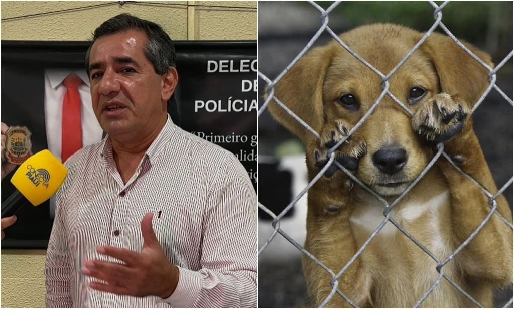 Delegado Willame Morais
