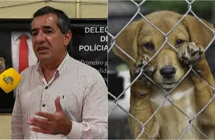 Delegado Willame Morais (Foto: Tiago Moura / Conecta Piauí)