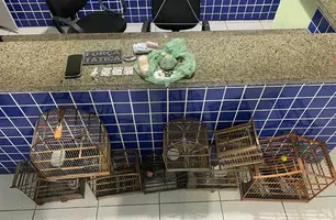 Drogas e pássaros silvestres são apreendidos durante abordagem a grupo em Parnaíba (Foto: Reprodução/PMPI)