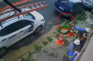 Gato é arremessado (Foto: Reprodução)