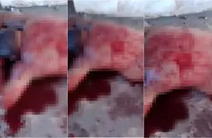 Homem é assassinado com golpe de faca e tiro durante briga de bar no Piauí (Foto: Reprodução)