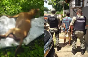 Homem é preso após estuprar e matar cachorra em cidade do Piauí (Foto: Reprodução)