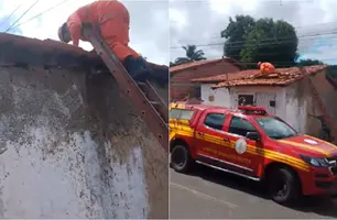 Idosa é resgatada (Foto: Reprodução)