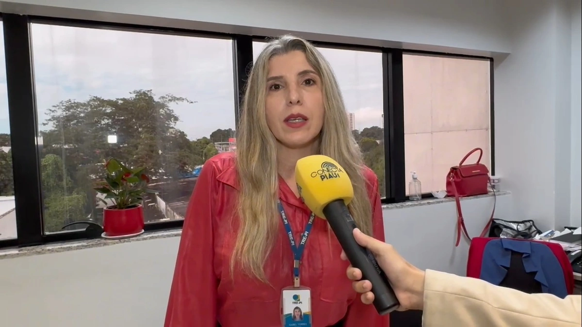 Isabel Torres, chefe da 98ª Zona Eleitoral de Teresina