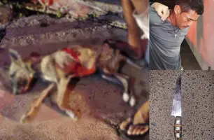 Justiça decreta prisão de homem que matou cadela a facadas em Luís Correia (Foto: Reprodução)