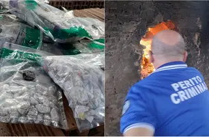 Material apreendido pela polícia (Foto: Reprodução)