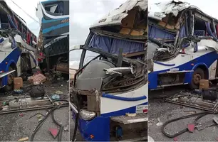 Ônibus que bateu e deixou 14 feridos saiu de Castelo do Piauí com destino a SP (Foto: Reprodução)