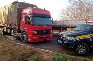 Piauí é campeão nacional de apreensão de madeira ilegal fora da Amazônia Legal (Foto: Policia Rodoviária Federal (PRF))