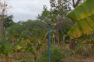 SAF entrega kits de irrigação e equipamentos agrícolas nesta segunda (15) (Foto: Reprodução)