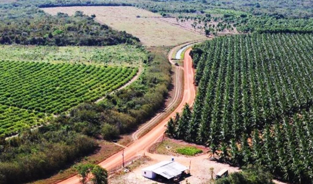 Tabuleiros Litorâneos Piauí