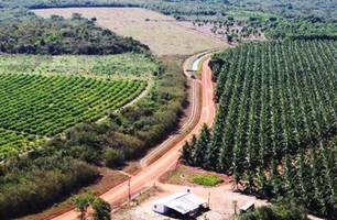 Tabuleiros Litorâneos Piauí (Foto: Reprodução)