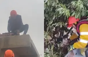 Bombeiros do Piauí ajudam no resgate de animais na tragédia do Rio Grande do Sul (Foto: Reprodução)