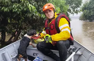 Bombeiros do Piauí auxiliam famílias e resgatam mais de 30 animais no RS (Foto: Divulgação)