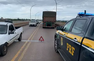 Caminhão sofreu pane mecânica sobre Ponte Nova (Foto: Reprodução)