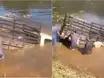 Condutor de carreta perde controle do veículo e cai em açude em município no Piauí