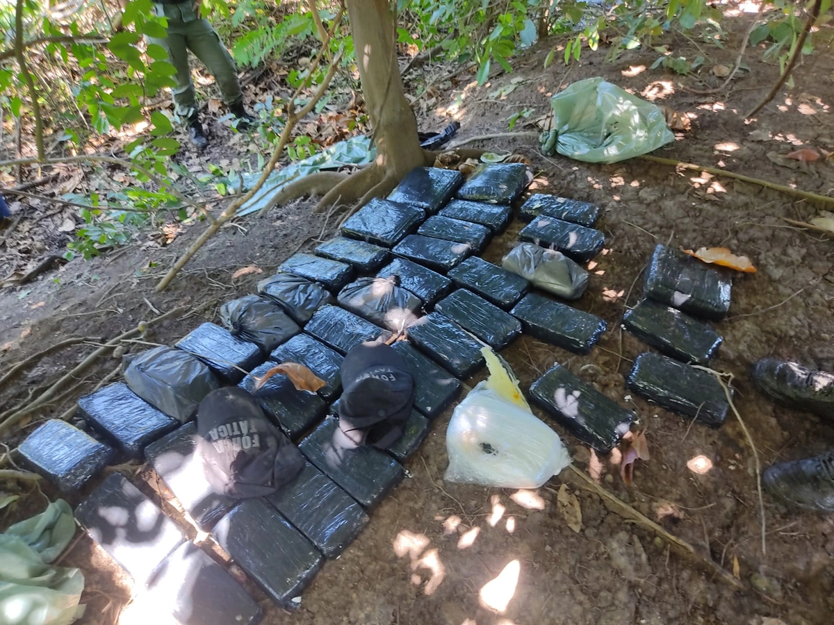 Drogas avaliadas em mais de R$ 150 mil são apreendidas na zona Norte de Teresina