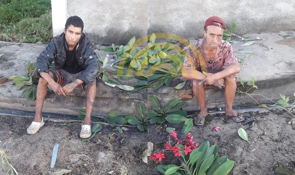 Dupla é presa após fingir capinar terreno para roubar residência em Teresina