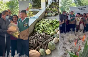 Famílias em vulnerabilidade recebem mais de 5 toneladas de alimentos em Teresina (Foto: James Nenezão/Conecta Piauí)
