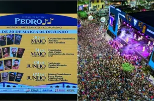 Festival de inverno de Pedro II (Foto: Conecta Piauí)