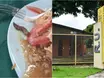 Estudante encontra lagarta em almoço servido em Restaurante Universitário da UFPI