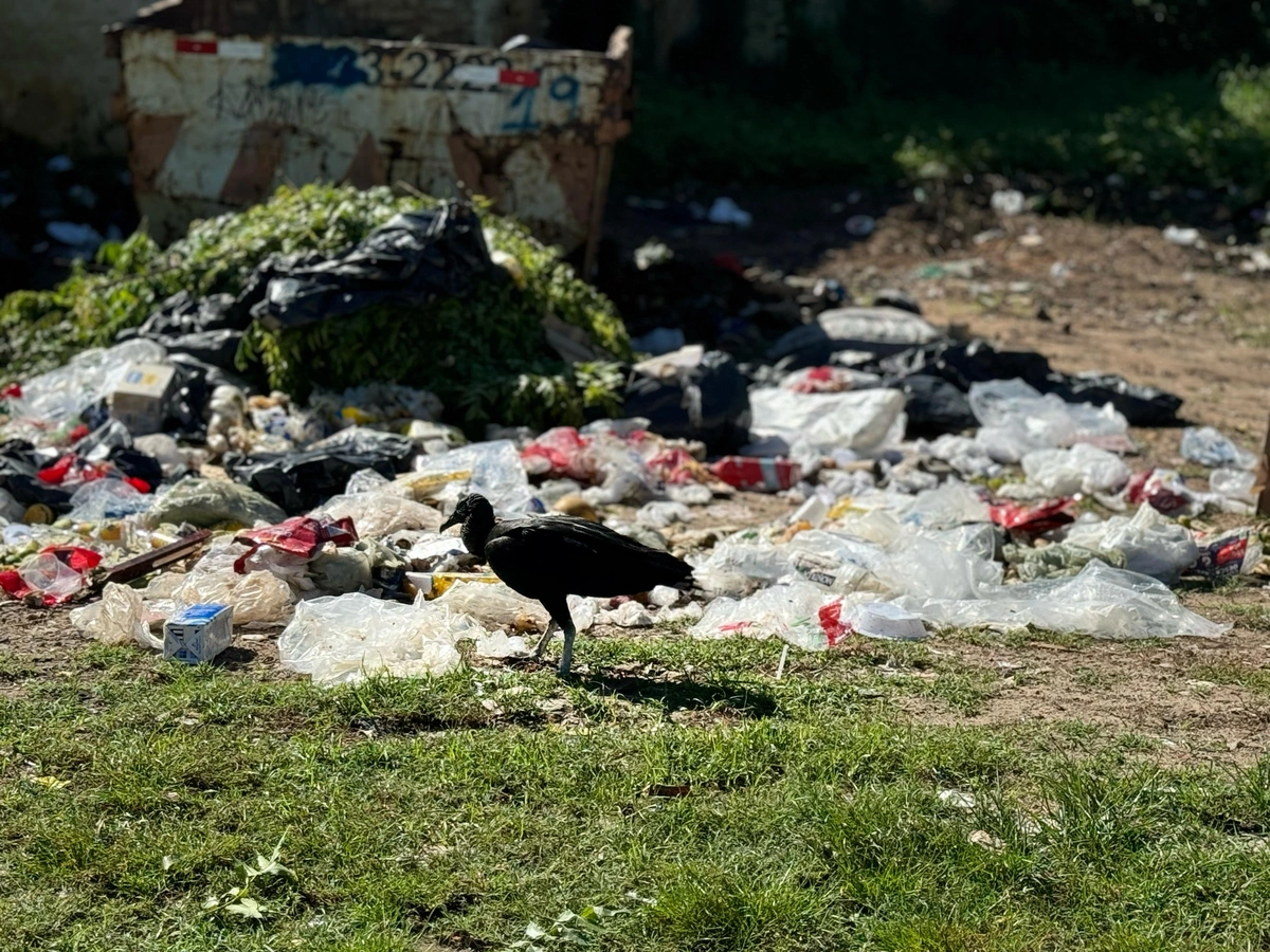 Lixão se forma ao lado de CRAS em Parnaíba