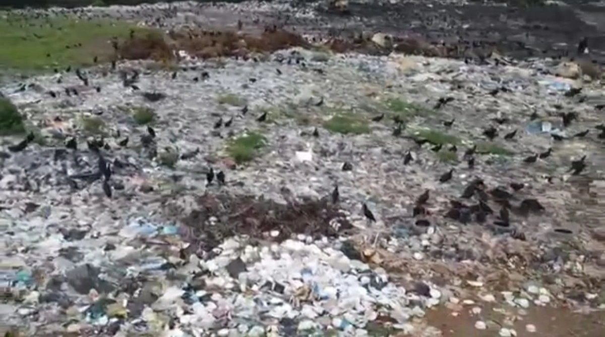 Moradores denunciam grave situação de resíduos em lixão a céu aberto de Floriano