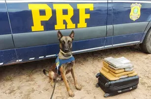 Mulher é presa com 11 tabletes de cocaína (Foto: Reprodução)