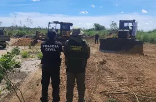 Operação Cerrado Vivo (Foto: Reprodução)
