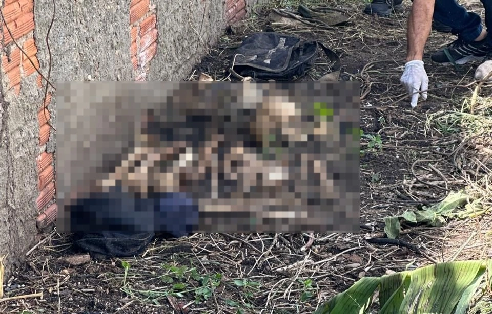 Ossada é encontrada em Teresina