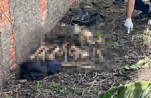 Ossada é encontrada em Teresina (Foto: Reprodução)
