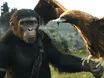 'Planeta dos Macacos: O Reinado' estreia no Cinemas Teresina nesta semana