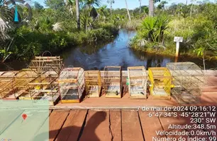 Polícia faz operação no Parque do Mirador, prende 9 suspeitos e solta animais (Foto: Divulgação)