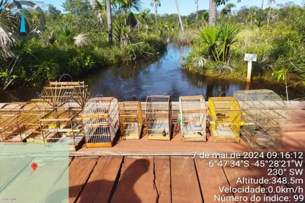 Polícia faz operação no Parque do Mirador, prende 9 suspeitos e solta animais