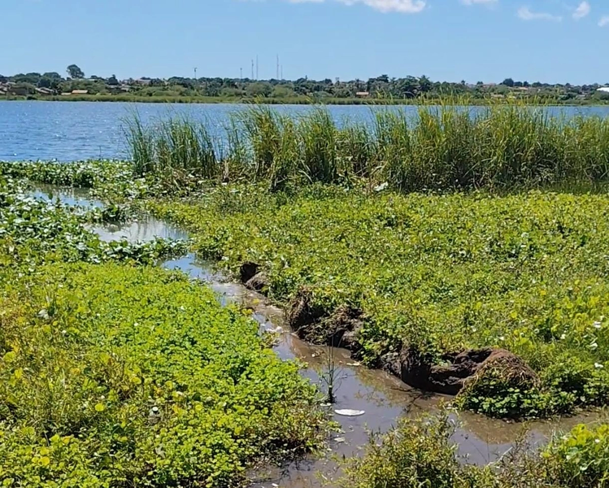 População denuncia abandono em local usado como cartão postal em Parnaíba